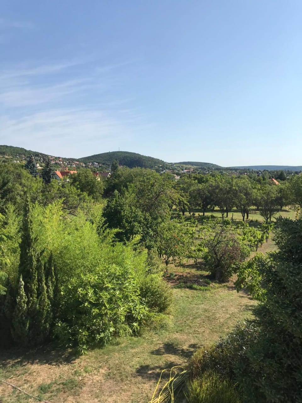 Natural landscape