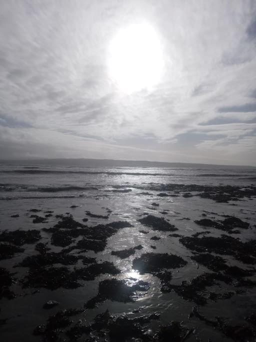 Ceaser's cabin is a cosy 1 bedroom cabin Cabin in County Clare