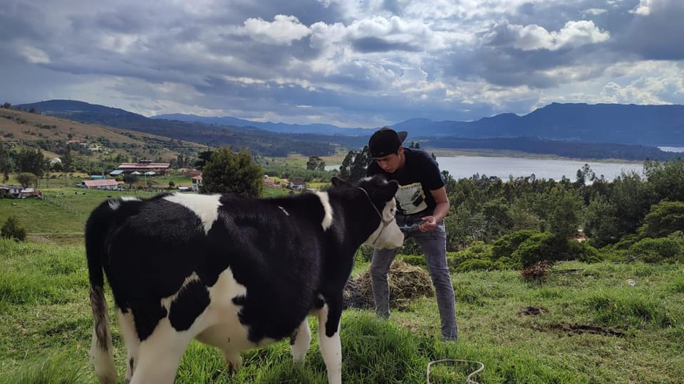 People, Animals, Lake view, Mountain view, group of guests