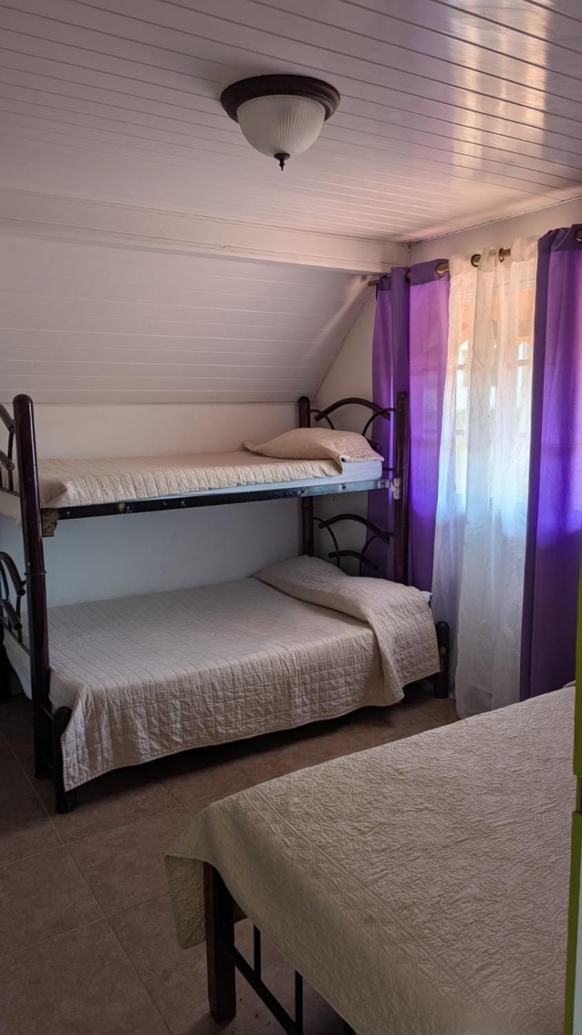 Toucan Place Hostel in Panama City, Panama