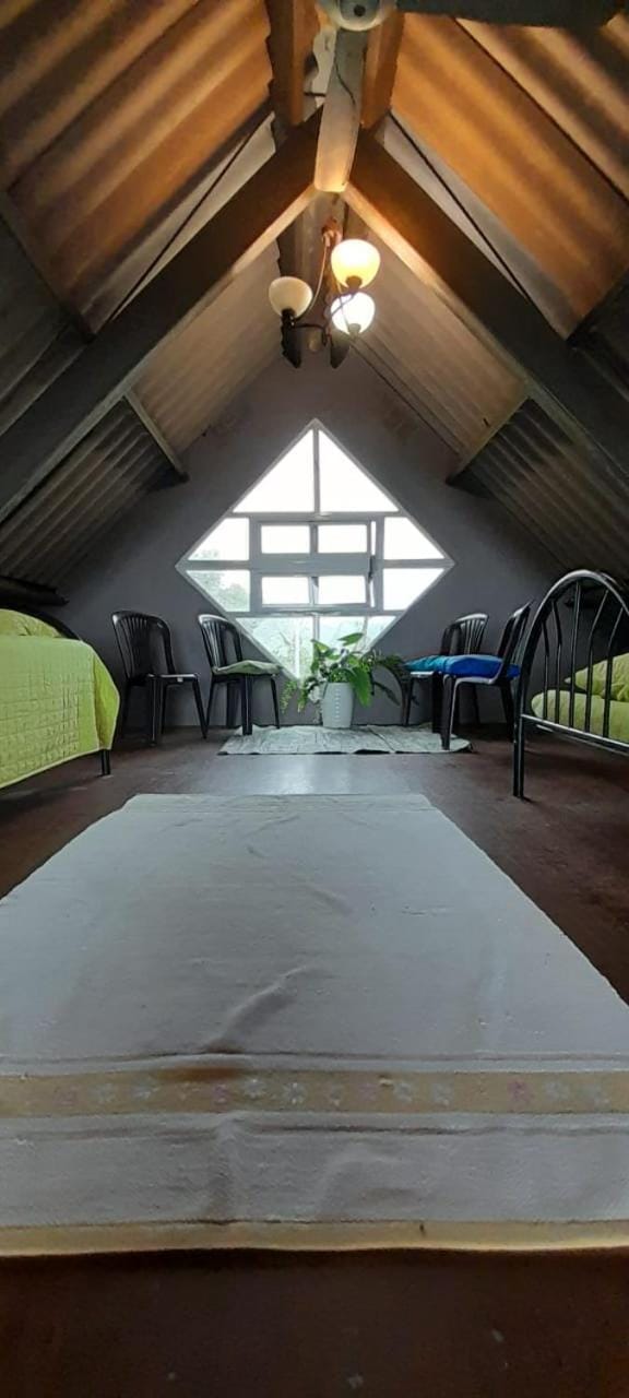 Toucan Place Hostel in Panama City, Panama