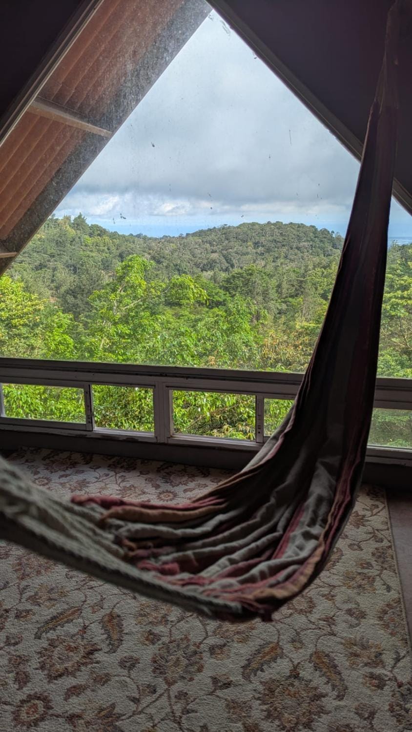 Toucan Place Hostel in Panama City, Panama