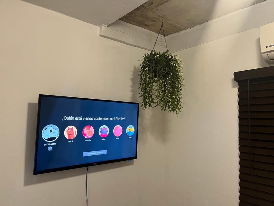 TV and multimedia