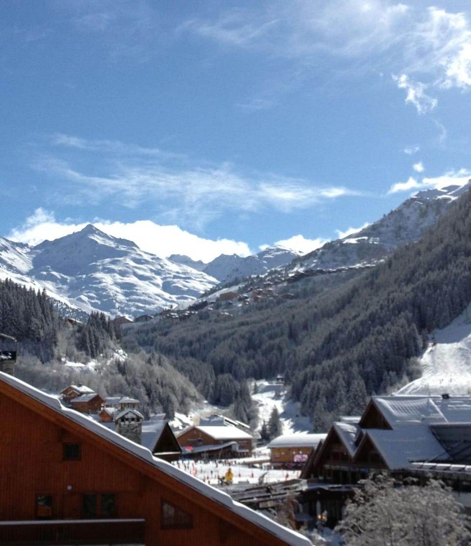 Chalet De Meribel - Magnifique appartement 6 pièces pour 10 personnes dans le centre de Méribel proche des commerces et des pistes de ski MAE-1653 Apartment in Les Allues
