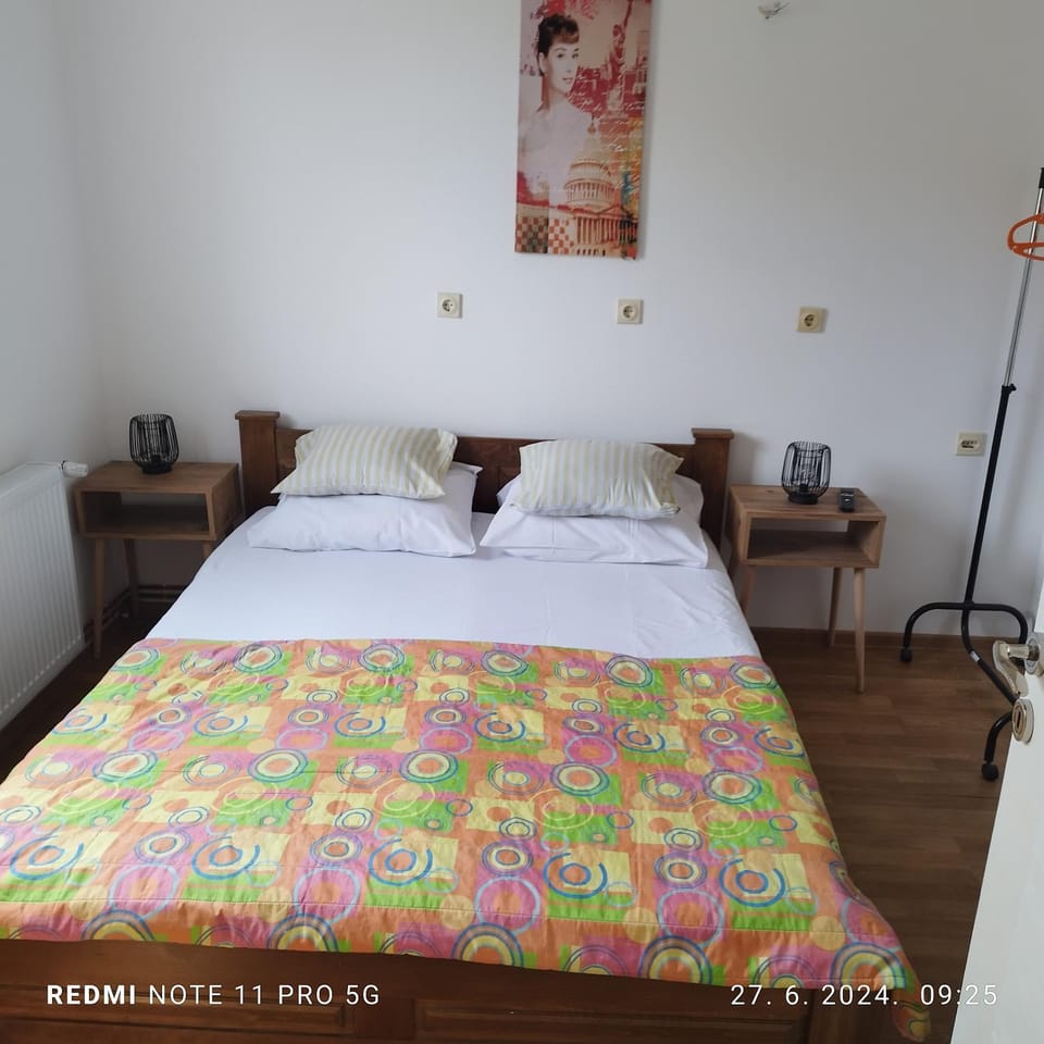 Salvatori Apartment in Serbia