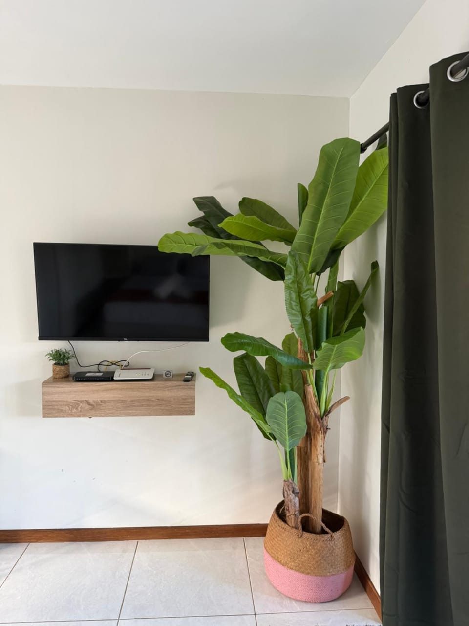 TV and multimedia