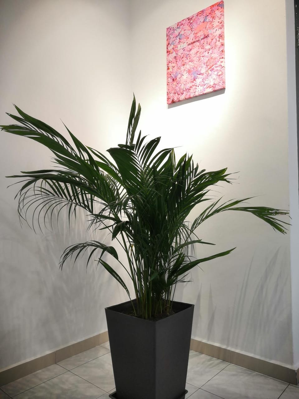 Flora Homestay in Taman Flora House in Johor