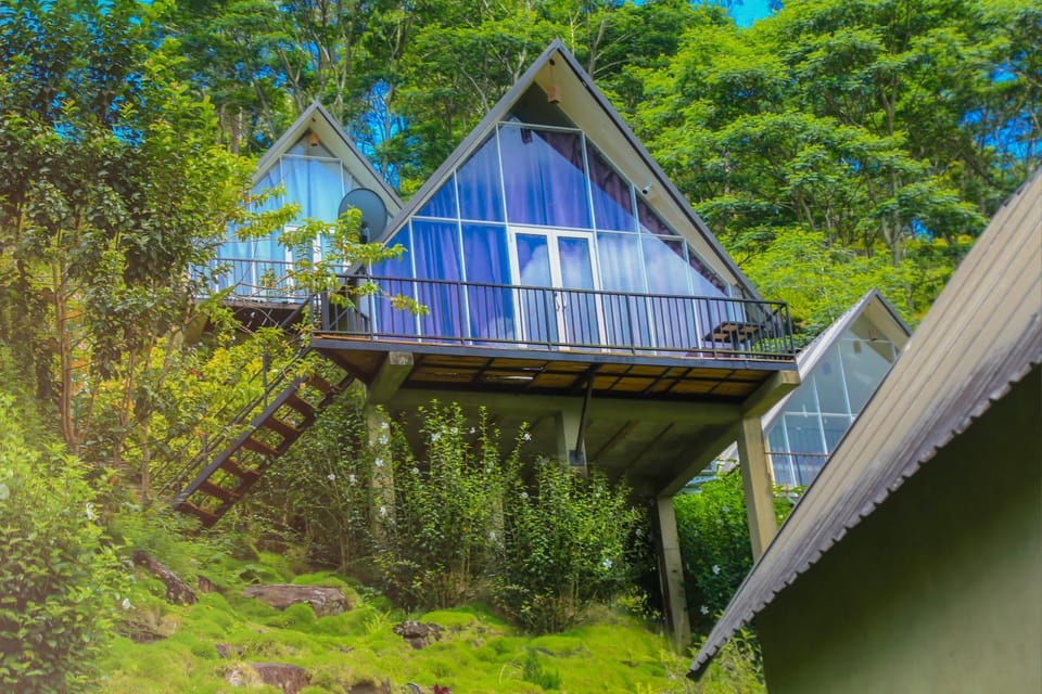 Property building, Day, Natural landscape, Garden view