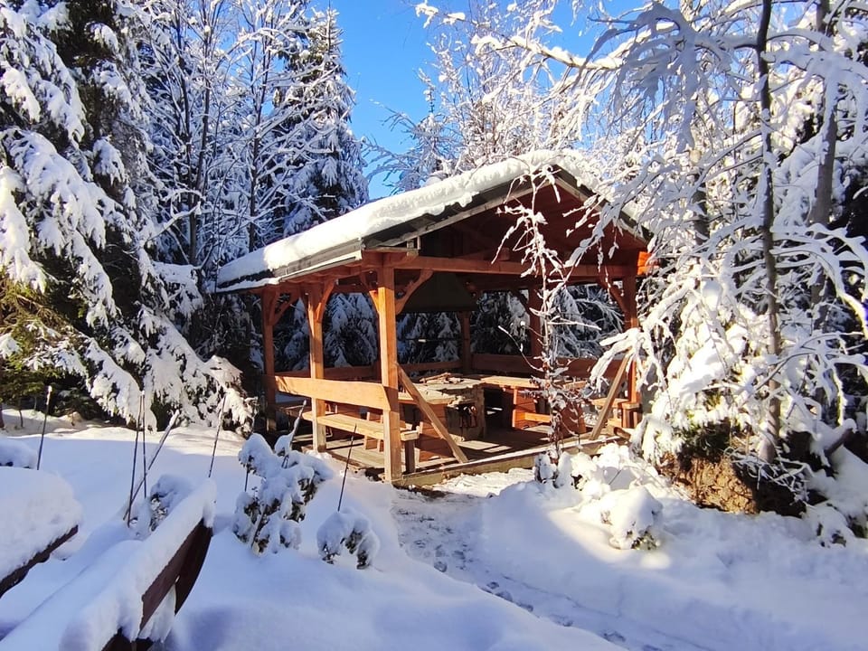 Willa Nika, Apartamenty Apartment in Zakopane