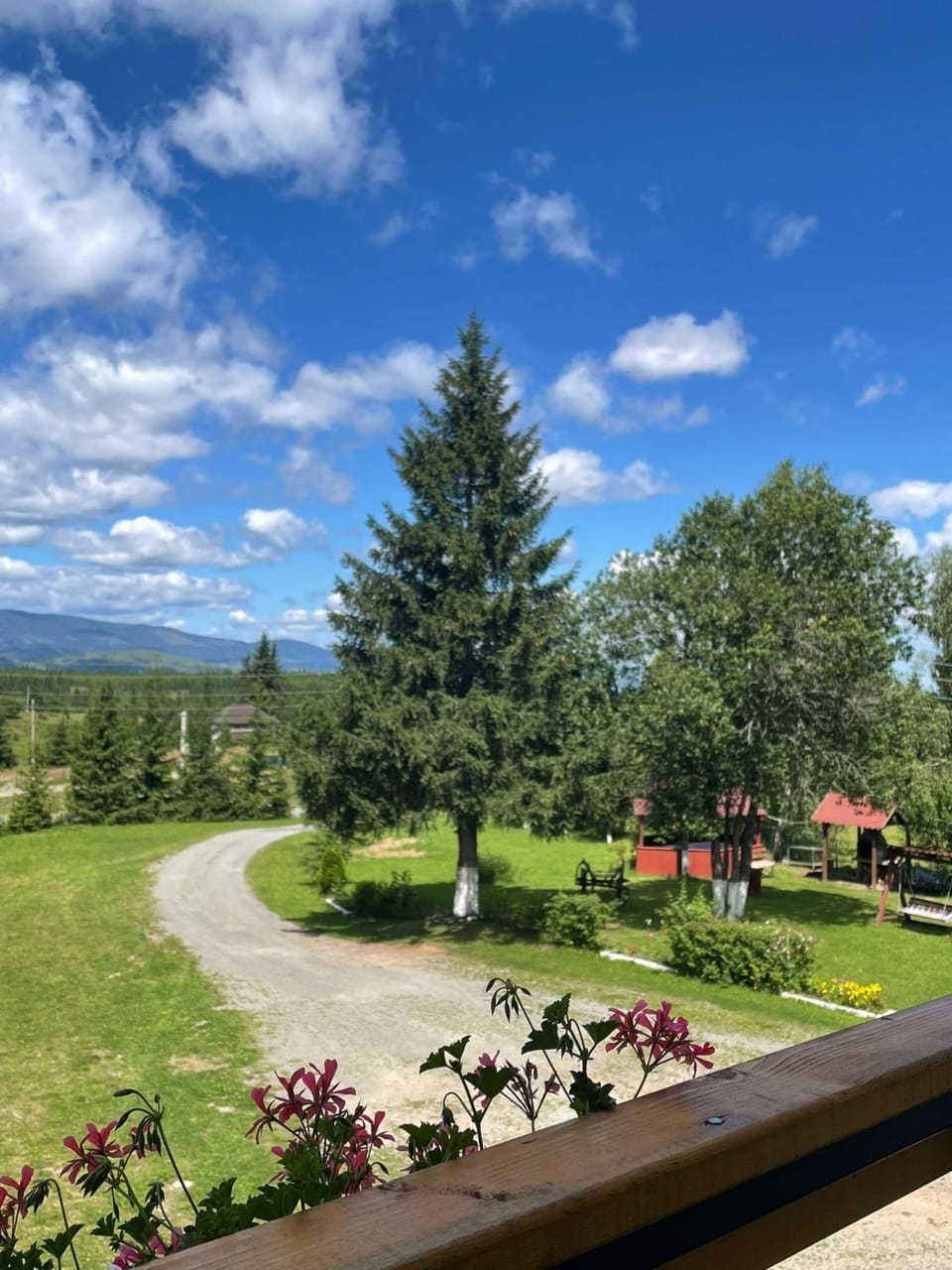 Pensiunea Denisa & Madalina Bed and Breakfast in Cluj County