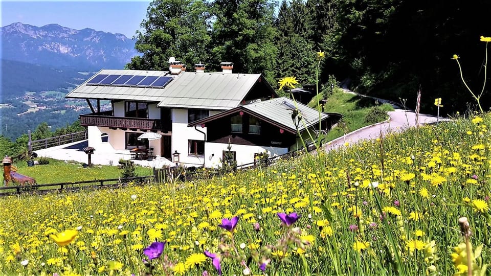 Property building, Spring, Natural landscape, Garden, Mountain view