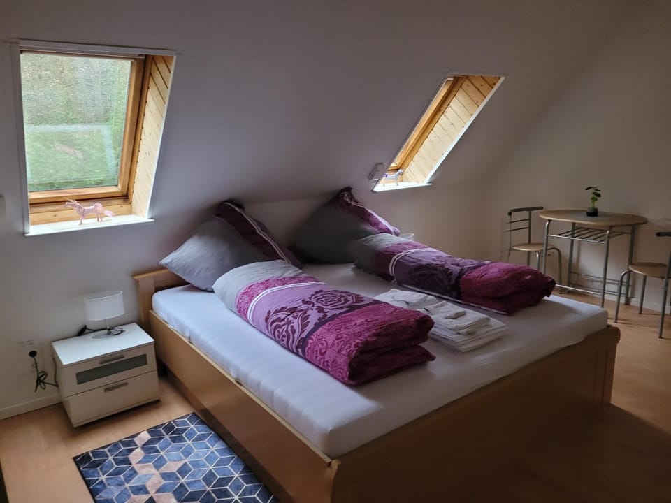 Ferienwohnung in Scharnebeck Apartment in Lower Saxony, Germany