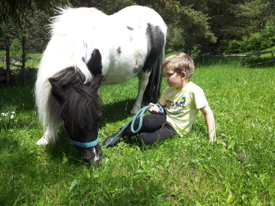 Horse-riding, Animals, children