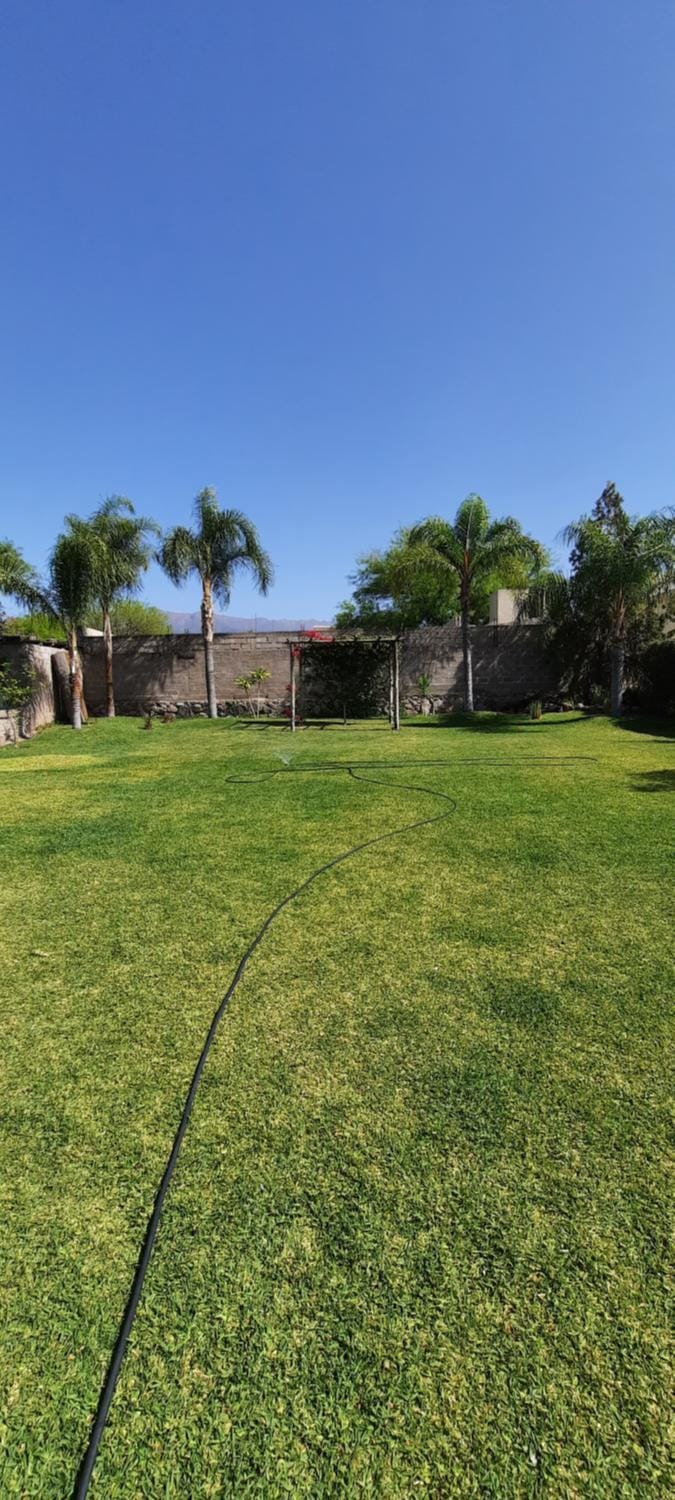 Garden view