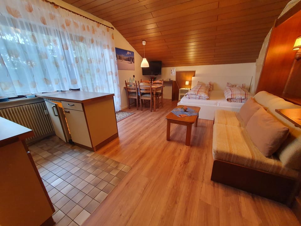 Bed, TV and multimedia, Living room, Dining area, kitchen
