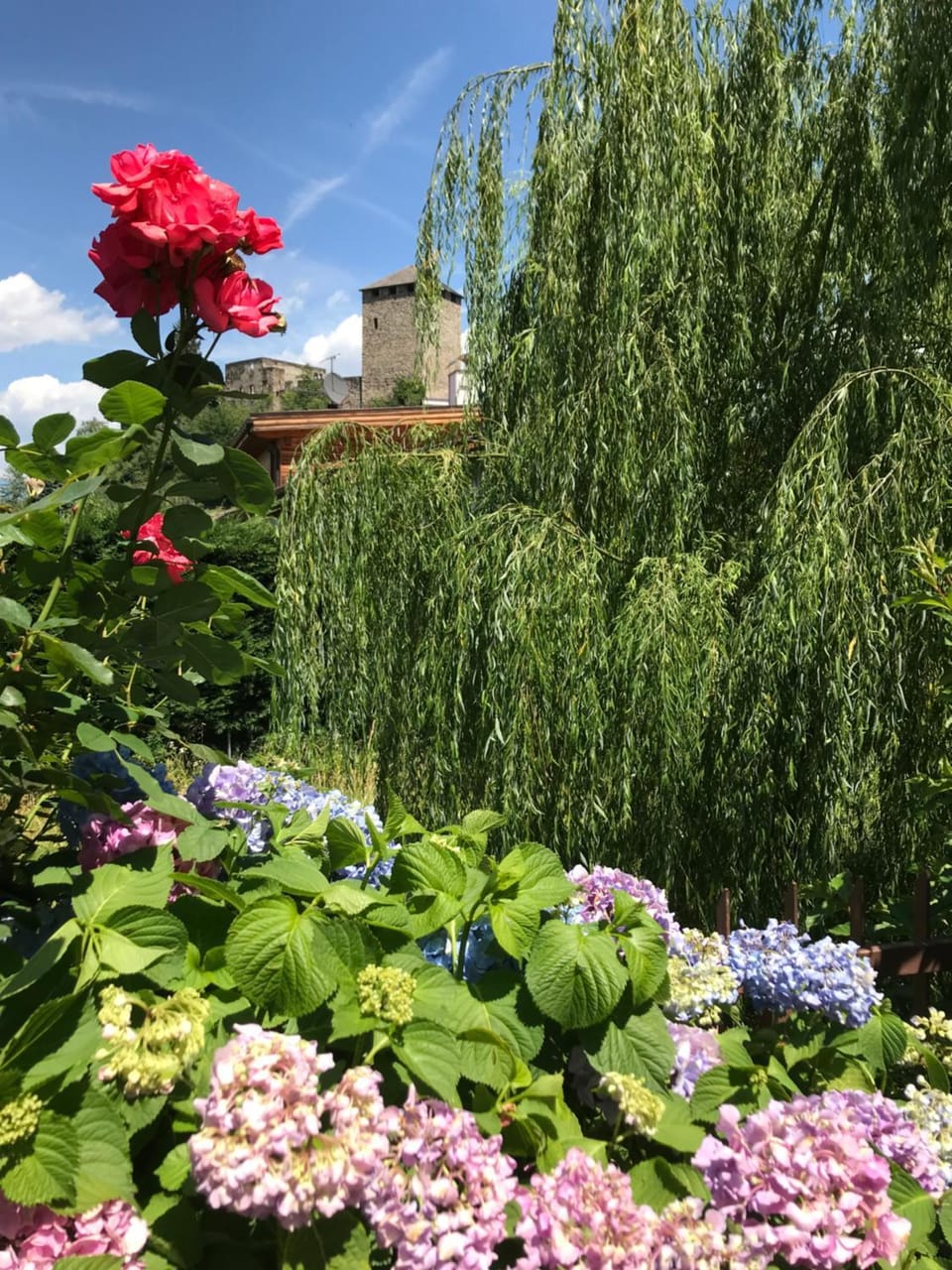 Pension an der Mayenburg Hotel in Trentino-South Tyrol