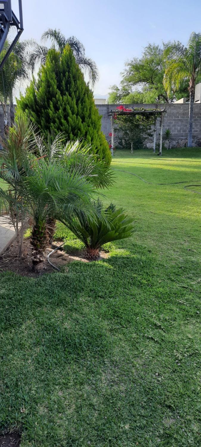 Garden, Garden view