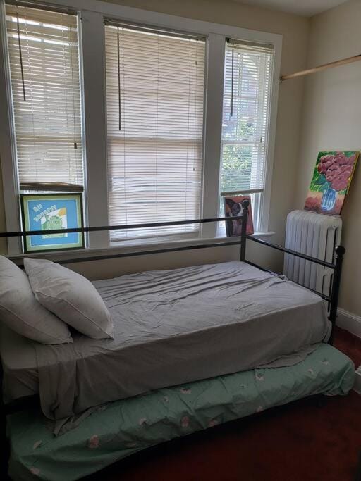 D.C.'s Brookland house Pets are Welcome! House in District of Columbia