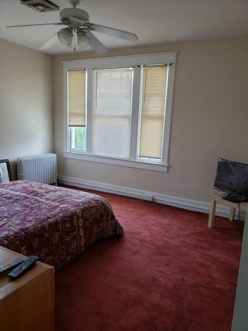 D.C.'s Brookland house Pets are Welcome! House in District of Columbia