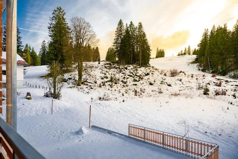 Winter, Skiing, Mountain view