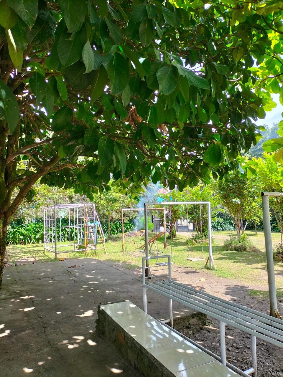 Day, Natural landscape, Garden view