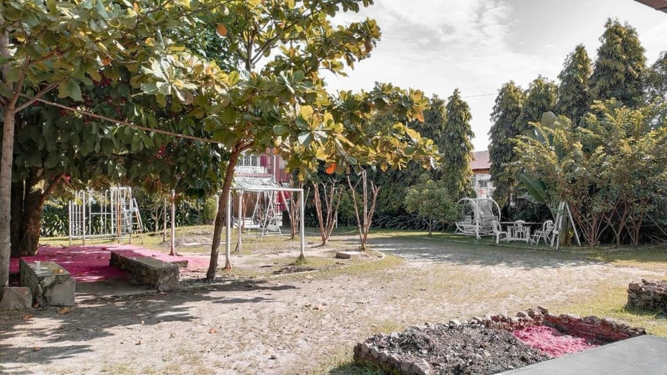 Day, Garden, Garden view