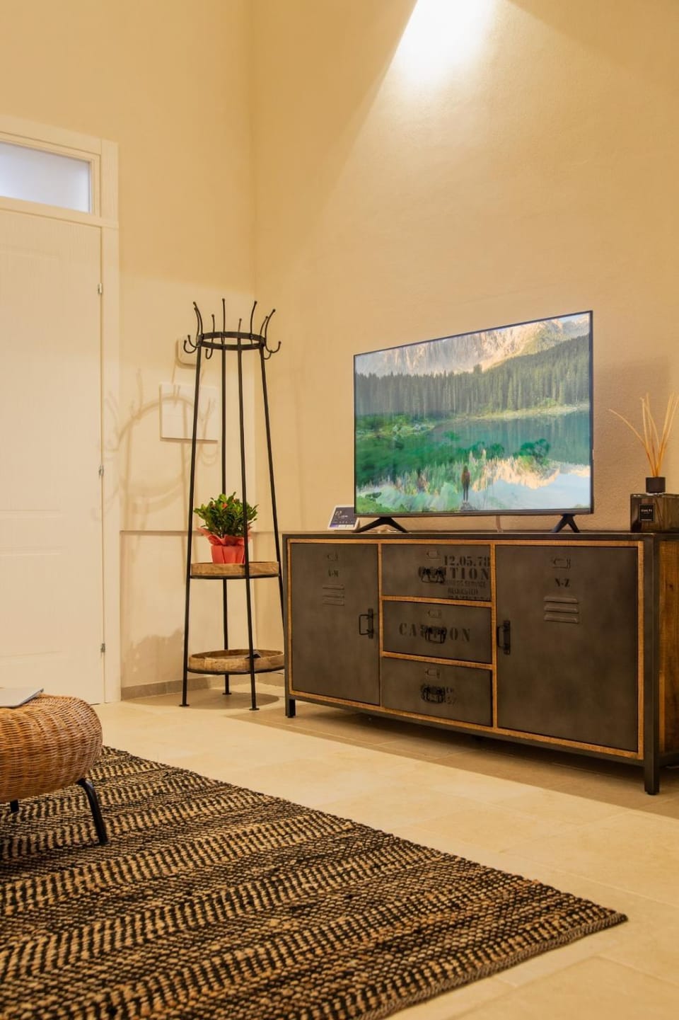 TV and multimedia