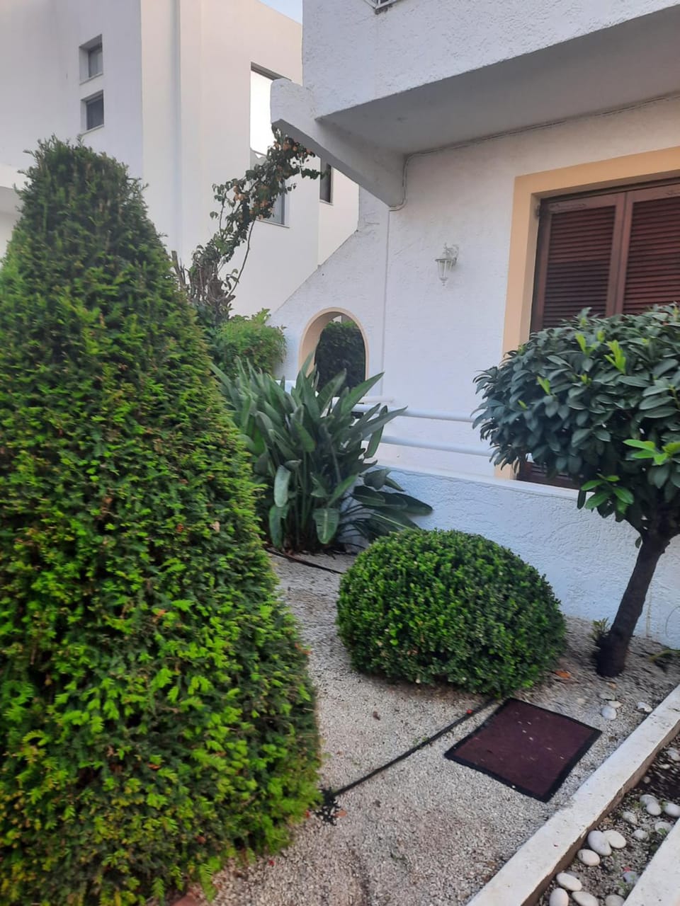 Property building, Garden