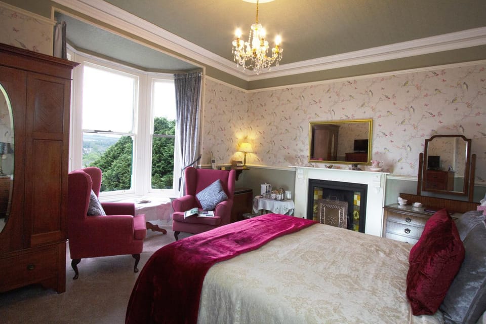 Photo of the whole room, Decorative detail, Bedroom, Pets, Non alcoholic drinks, Family