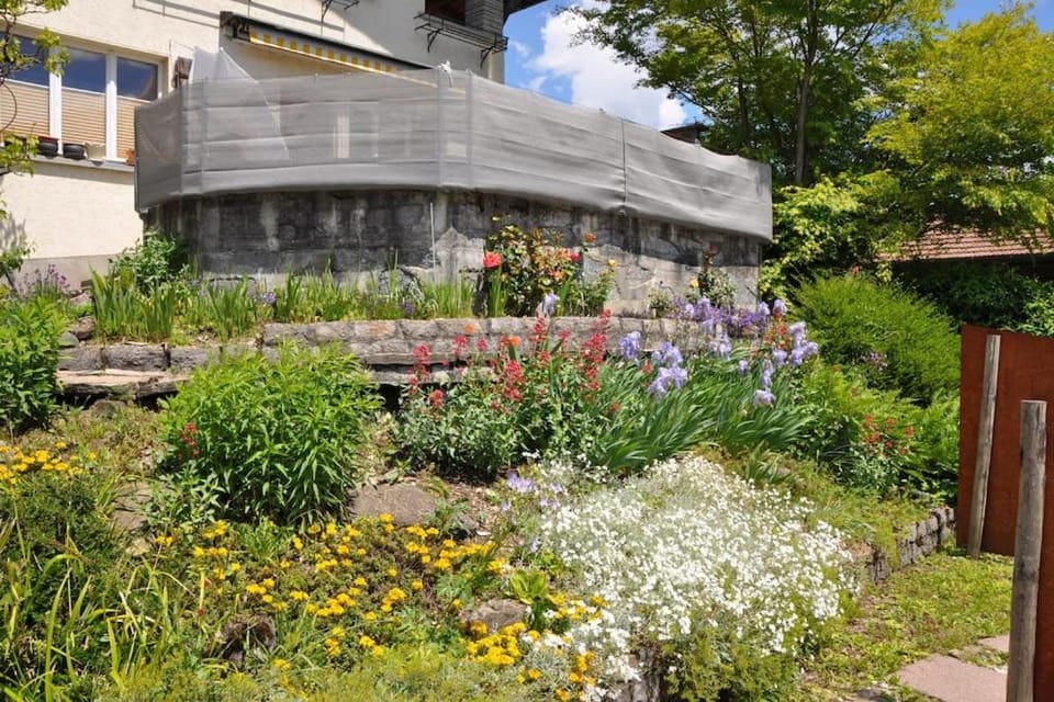 Property building, Day, Garden, Garden view