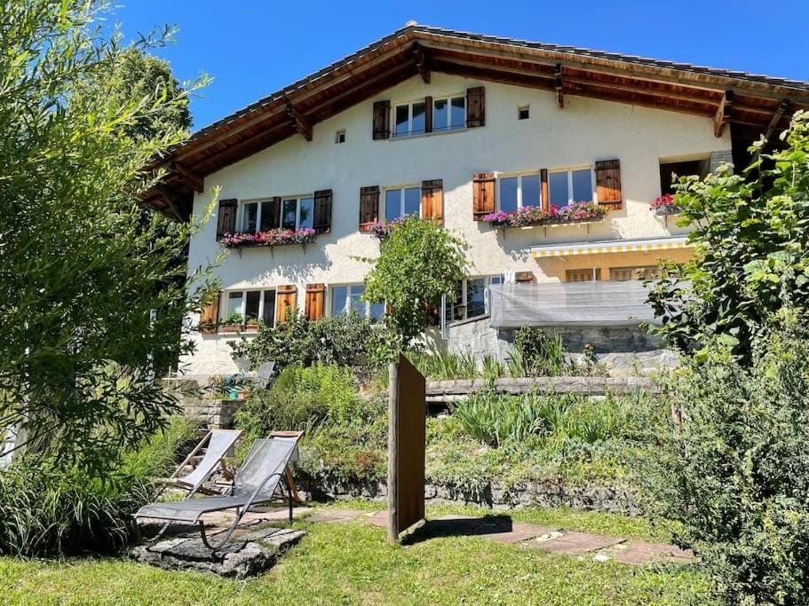 Property building, Day, Garden, Garden view, sunbed