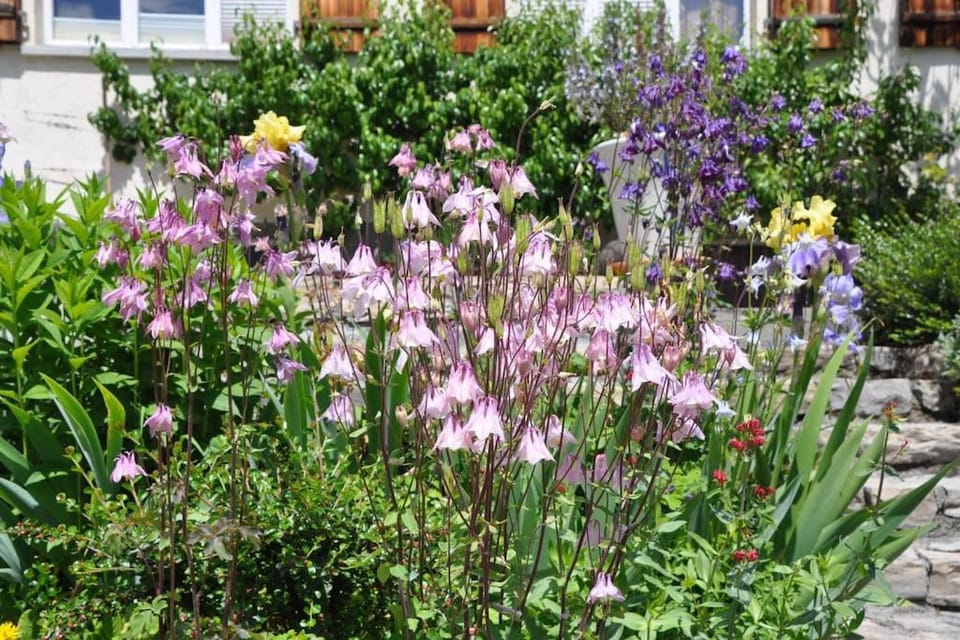 Day, Garden, Garden view