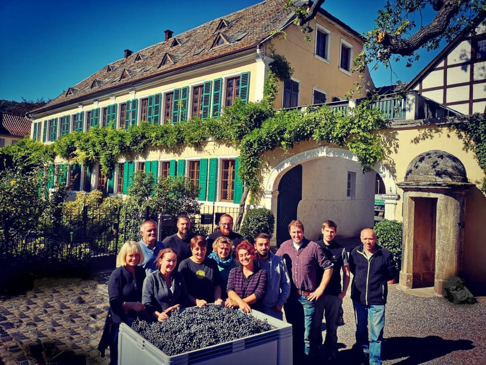 Unterkunft im Weingut Fitz-Ritter Apartment in Rhineland-Palatinate