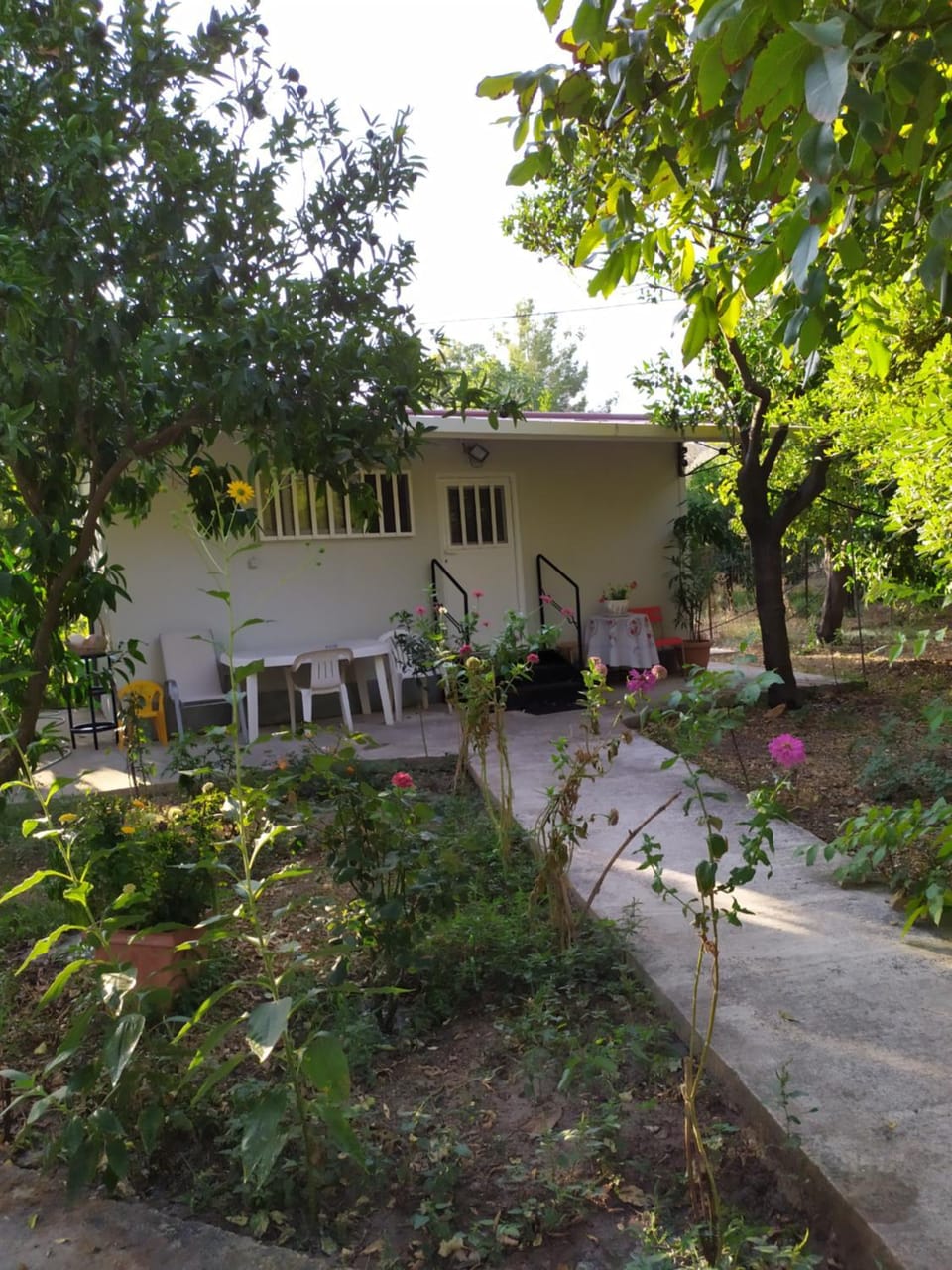 The Green Garden in AGIA VASSA SMALL Apartment in Decentralized Administration of the Aegean