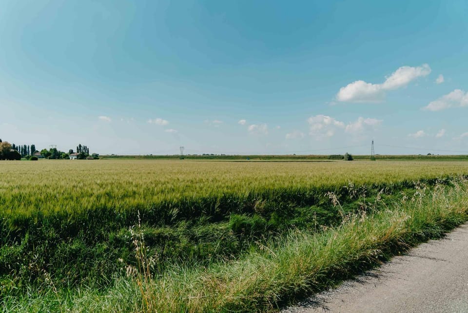 Spring, Day, Natural landscape