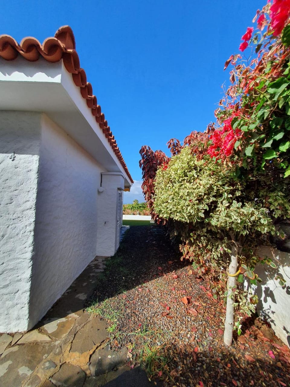 Cozy and intimate bungalow in Puerto de la Cruz House in Puerto de la Cruz