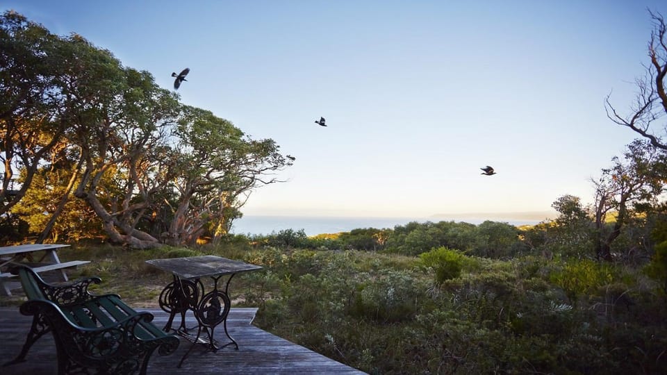 Ediths House - BYO Linen House in Aireys Inlet
