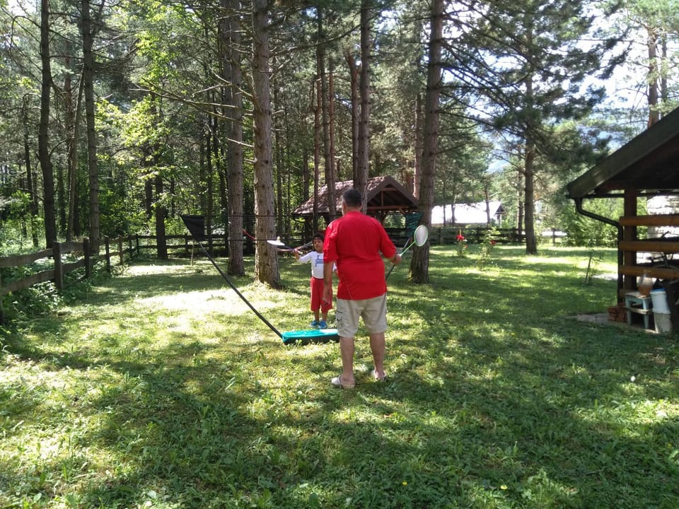 Day, People, Neighbourhood, Natural landscape, Activities, Activities, Summer, BBQ facilities, Children play ground, Children play ground, Darts, Garden, Hiking, Cycling, On site, Garden view, Mountain view, Area and facilities, Entertainment, Entertainment, group of guests