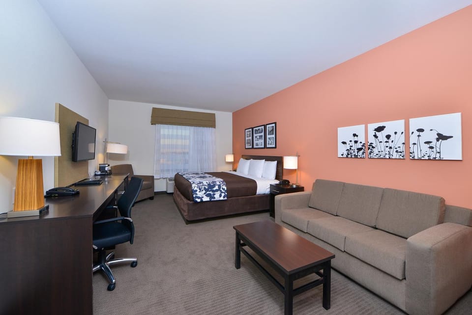 Photo of the whole room