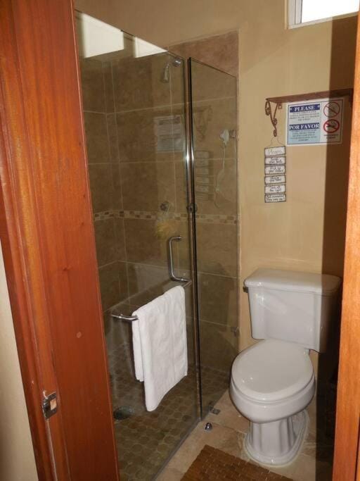 Shower, Toilet, Bathroom, towels