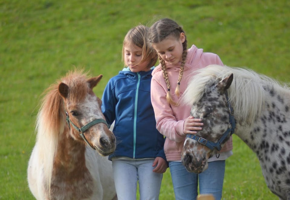 Animals, Pets, children