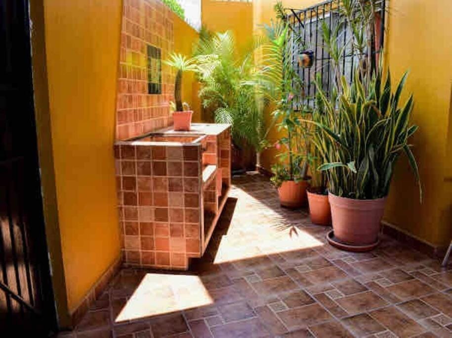 Garden
