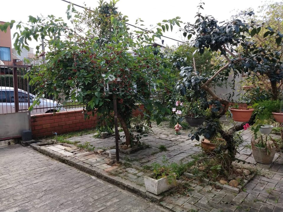 Garden, Garden view, Landmark view