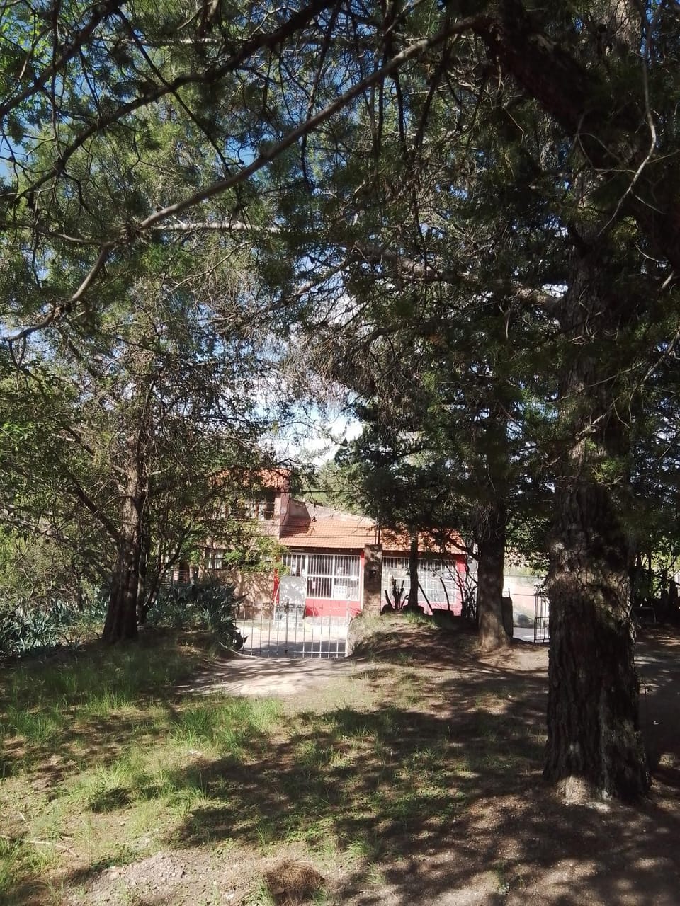 Garden, Garden, Lobby or reception
