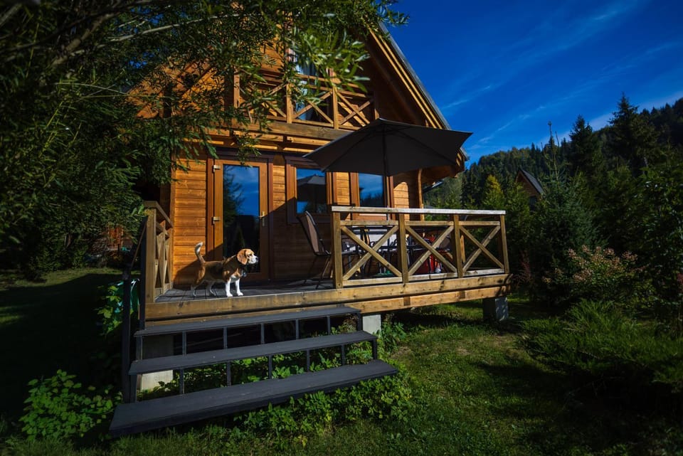 Janosik Premium - ogrodzony domek z kominkiem na wyłączność, w ogrodzie pełnym zieleni, w spokojnej okolicy, blisko atrakcji Podhala Chalet in Lesser Poland Voivodeship