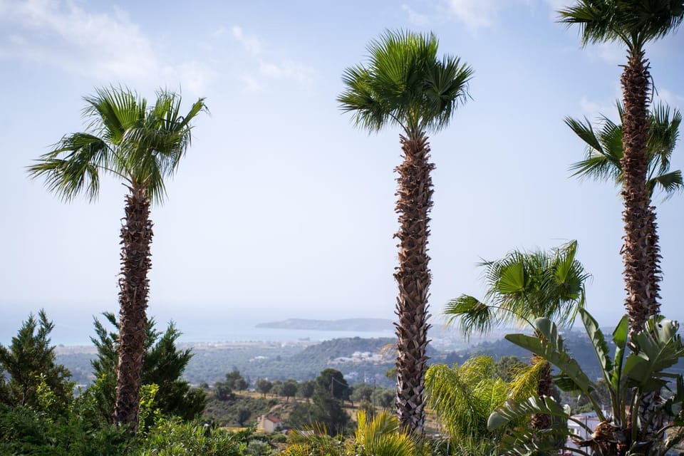 Sea view