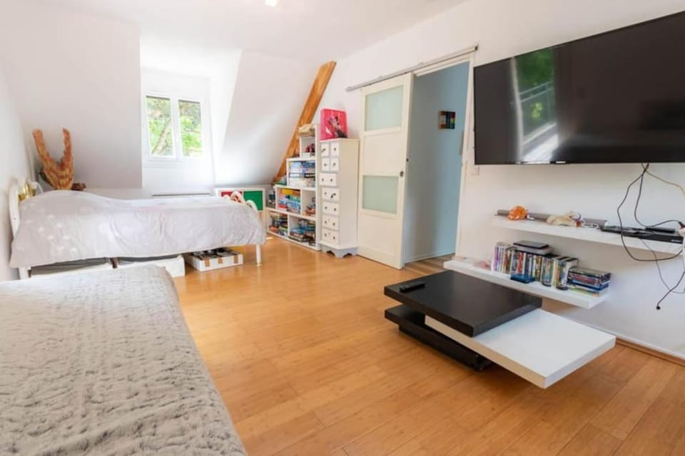 230m2 sur 3800m2 - jacuzzi 6 places - 16pers max Villa in Île-de-France