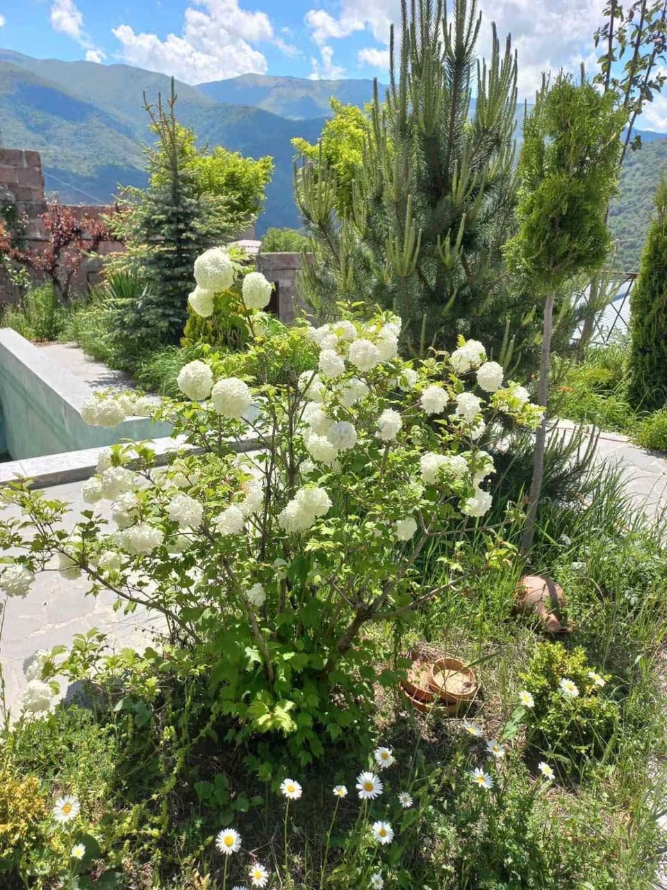 Villa Maria Dilijan Villa in Armenia