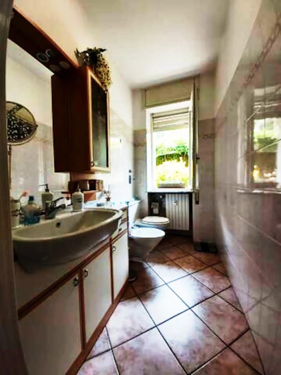 Bathroom, Living room