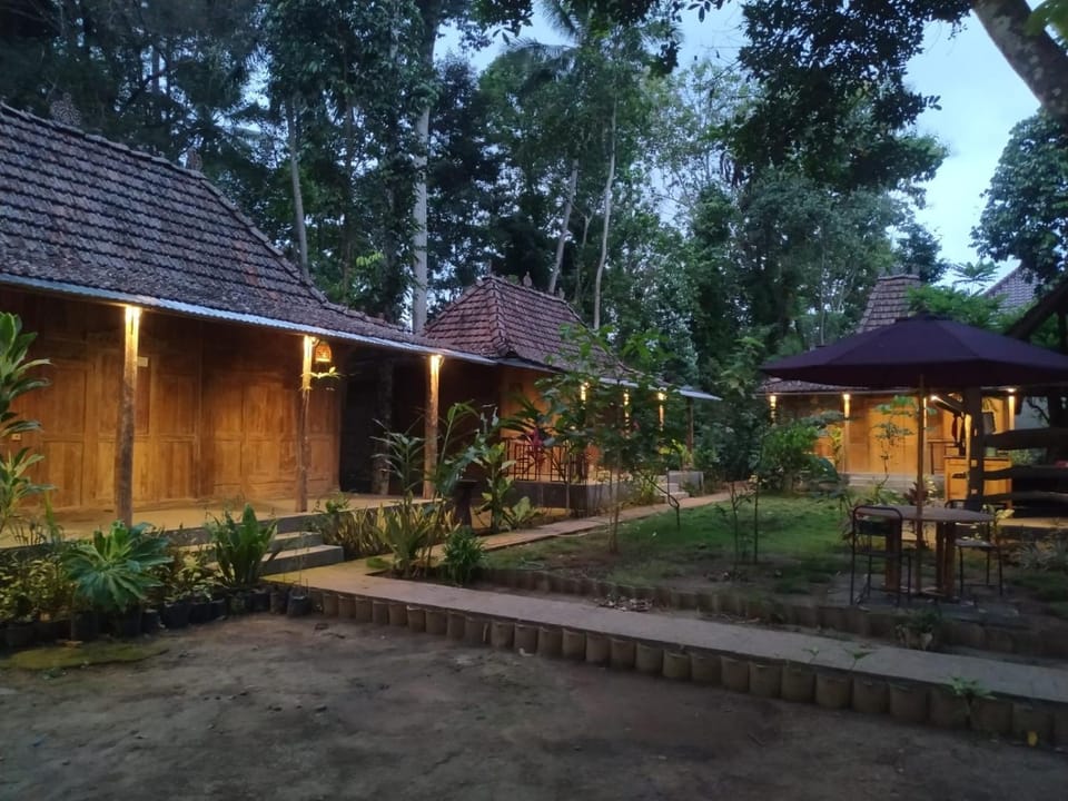 Property building, Garden, Garden view